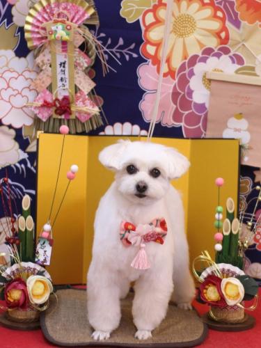 20240127うみちゃん